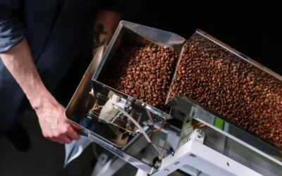 Les meilleurs grains de café choisir et acheter ses grains de café